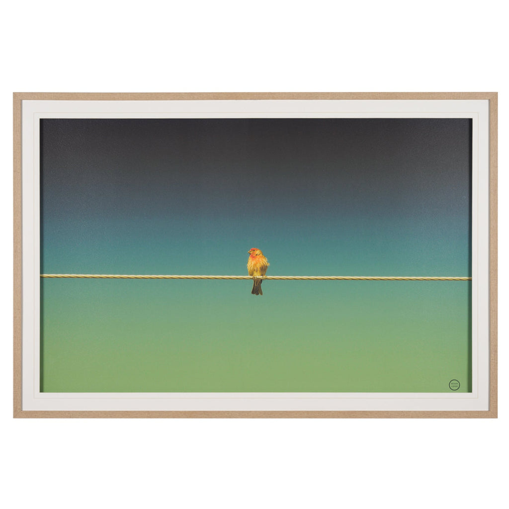 Framed Art - Finch On A Wire