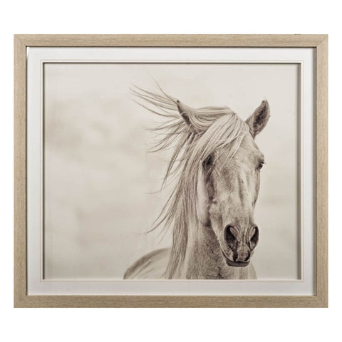 Wind Blown Mane Framed Art