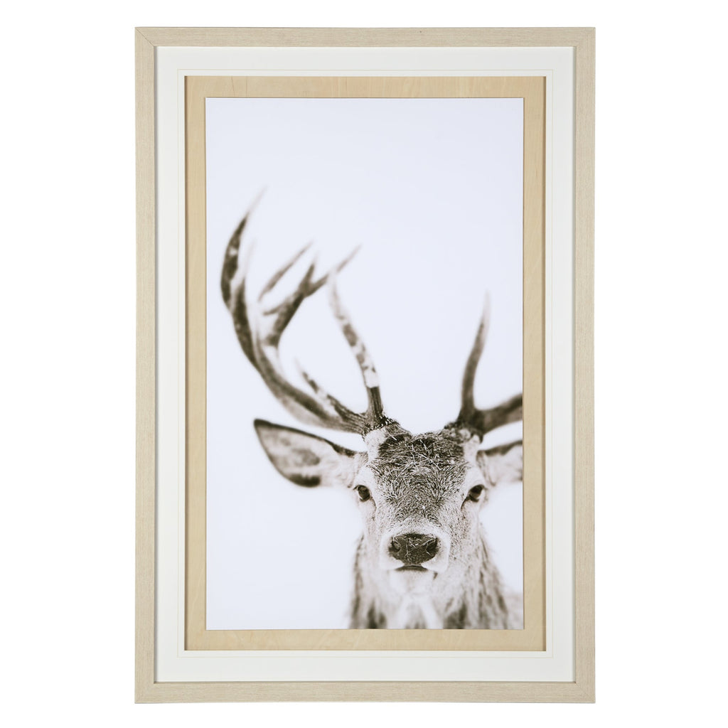 Winter Deer Framed Art