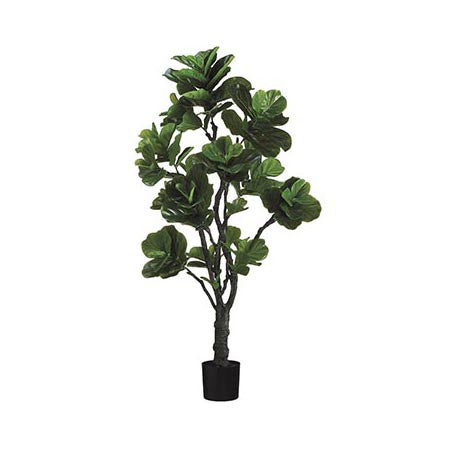 6' Fiddle Leaf Fig Tree