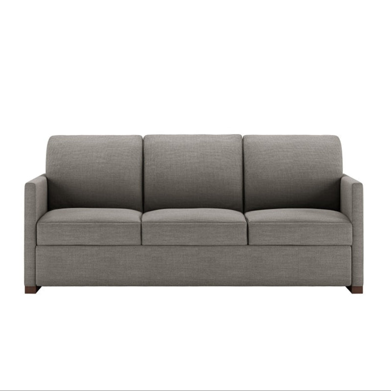 Pearson Comfort Sleeper