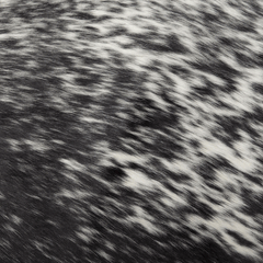 Large Rawhide - Salt and Pepper