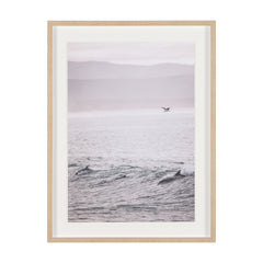 Framed Art - Dolphins In Surf