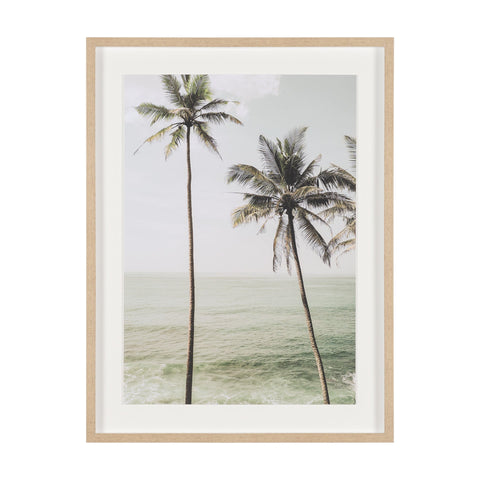 Framed Art - Palms II