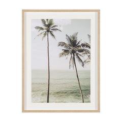 Framed Art - Palms II