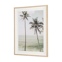 Framed Art - Palms II