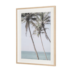 Framed Art - Palms I