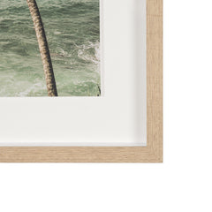 Framed Art - Palms II