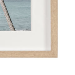 Framed Art - Palms I