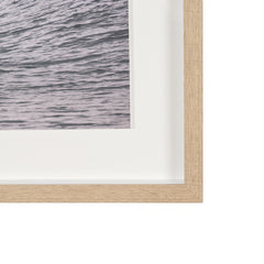 Framed Art - Dolphins In Surf