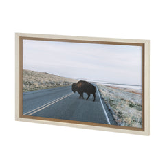 Framed Art - Buffalo Crossing