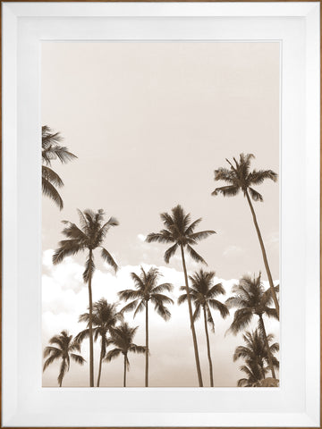Palms Framed Art