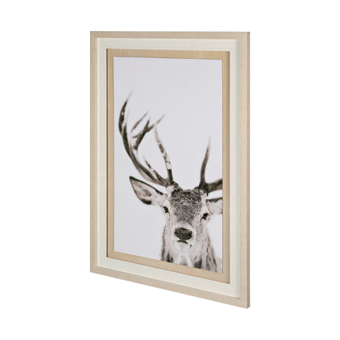 Winter Deer Framed Art